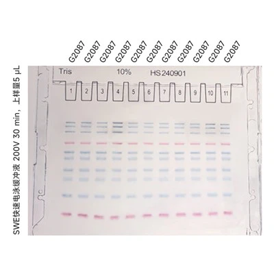 10% Tris SwePAGE Pre-cast Gel (11-خوب)