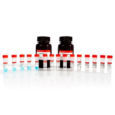 کیت تشخیص کمی پروتئین BCA