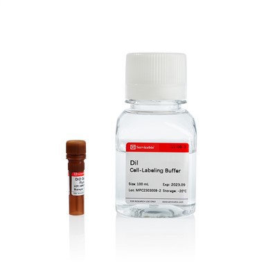 کیت رنگ آمیزی فلورسانس قرمز غشایی Dil Cell