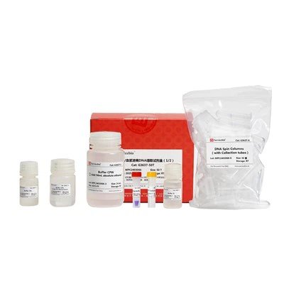 کیت استخراج DNA بدون سرم/پلاسما