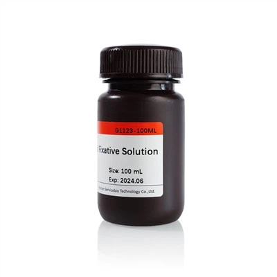 محلول تثبیت کننده ویژه برای بافت متراکم